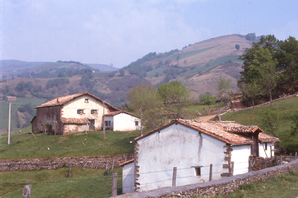 Bauernhöfe in Baztan