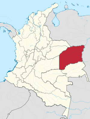 Lage von Vichada in Kolumbien