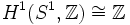 H^1(S^1,\mathbb Z)\cong\mathbb Z
