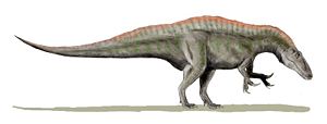Acrocanthosaurus, Lebendrekonstruktion