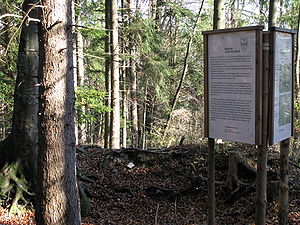 Überwachsene Mauerreste der Burg und Informationstafel der Gemeinde Bad Feilnbach
