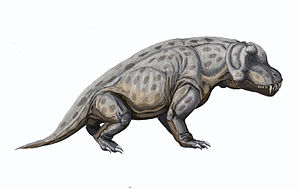 Lebendrekonstruktion von Anteosaurus