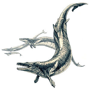 Lebendrekonstruktion von Basilosaurus