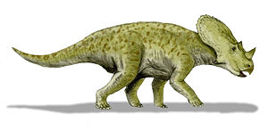 Lebendrekonstruktion von Brachyceratops