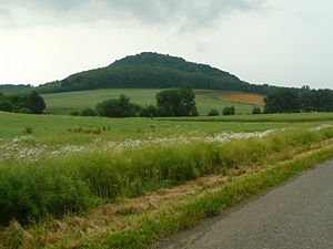 Blick von Nordosten zum Ort der Burgruine Brackenburg: Brackenberg im Naturpark Münden