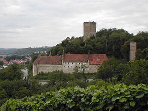 Burg Ehrenberg bei Heinsheim am Neckar