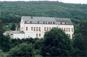 Die Burg Bollendorf von Westen