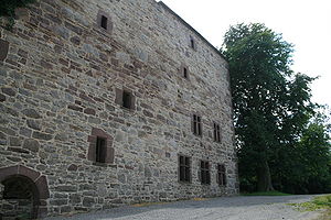 Palas der Burg Grebenstein im Sommer 2008