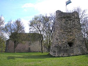 Bergfried und Schildmauer der Burg Güssenburg