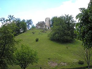 Burg Schenkenstein – Gesamtansicht aus dem Tal