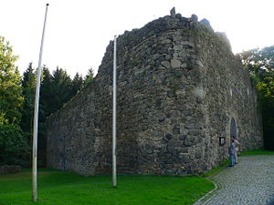 Ruine der Burg Sichelnstein von Nordosten