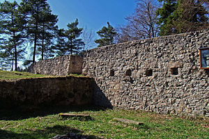 Burg Waseneck 1.jpg