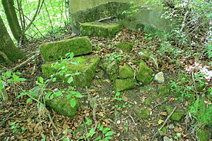 Steinerne Überreste der Burg Gleichen