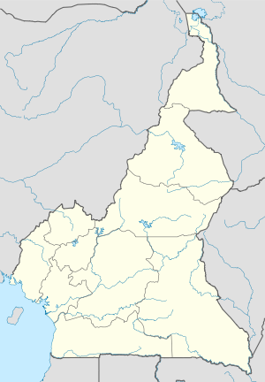 Wasserfälle von Lobé (Kamerun)