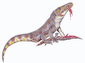 Chasmatosuchus