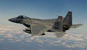 Eine F-15C „Eagle“ des 71th FIS über Washington D.C.
