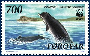 Nördlicher Entenwal auf einer Briefmarke