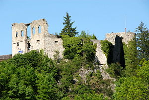 Finkenstein Ruine Altfinkenstein 18052007 01.jpg