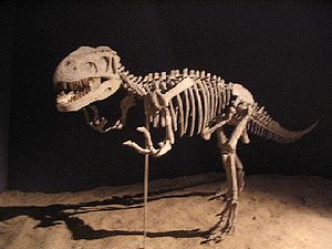 Gasosaurus, Skelettrekonstruktion