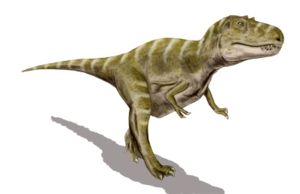 Lebendbild von Gorgosaurus libratus