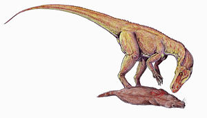 Lebendrekonstruktion von Herrerasaurus