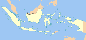 Gunung Merapi (Indonesien)