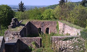 Burg Kirnburg - Ansicht des Palas aus südlicher Richtung