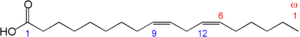 Struktur von Linolsäure