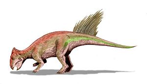 Spekulative Rekonstruktion von Liaoceratops