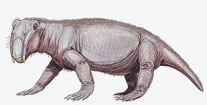 Lebendrekonstruktion von Lystrosaurus georgi