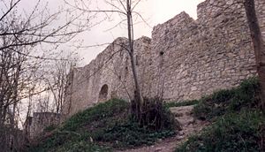 Ruine Maisenburg – Ansicht der südlichen Ringmauerseite