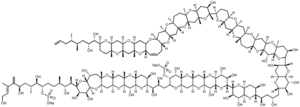 Strukturformel von Maitotoxin