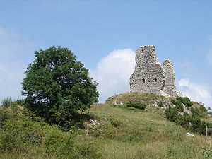 Die Ruine der Burg