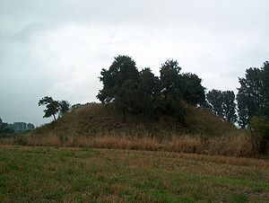 Die Motte bei Altenburg
