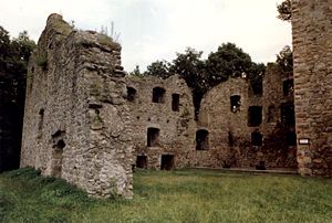 Ruine des Palas (1987)