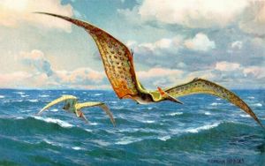 Pteranodon, Darstellung von Heinrich Harder (1916)