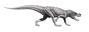 Postosuchus kirkpatricki