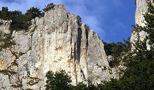 Westliche Felsflanke der Burgstelle