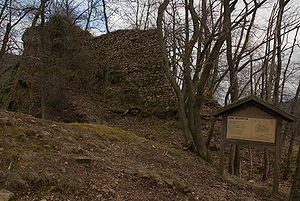 Ruine Wildenstein.jpg