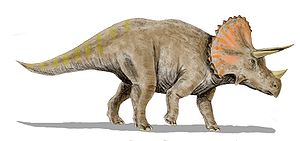 Lebendrekonstruktion von Triceratops