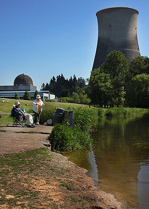 Kernkraftwerk Trojan:Rechts der Kühlturm, links die Reaktorkuppel (inzwischen demontiert)