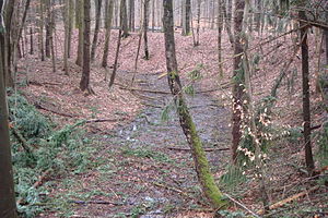Der ehemalige Wassergraben der Röderburg