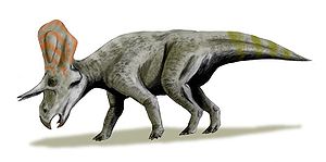 Lebendrekonstruktion von Zuniceratops