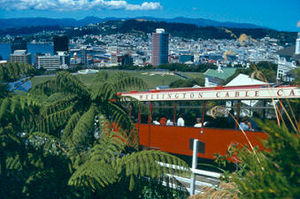 Panorama von Wellington