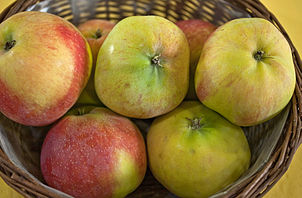 Äpfel der Sorte Jamba