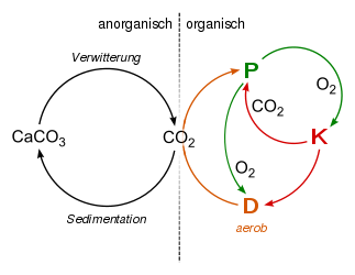 Carbon oxygen cycle aerobic.svg