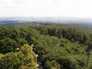 Blick von der Jubiläumswarte über den Gallitzinberg Richtung Wien
