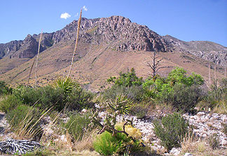 Guadalupe Mountains mit Guadalupe Peak (Bildmitte)