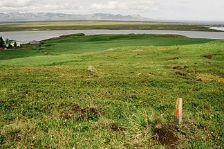 Blick vom Fuße der Dyrfjöll auf die Bucht Héraðsflói