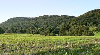 Teil der Amtsberge; die mittlere Erhebung ist der Ort der Burgruine Hunnesrück (Blick aus Richtung Dassel)